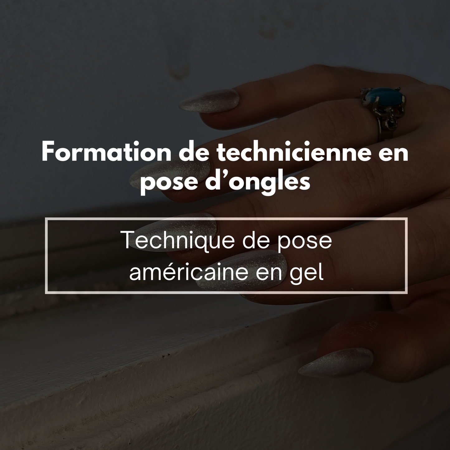 Formation professionnelle de pose américaine en gel avec le Artist Case
