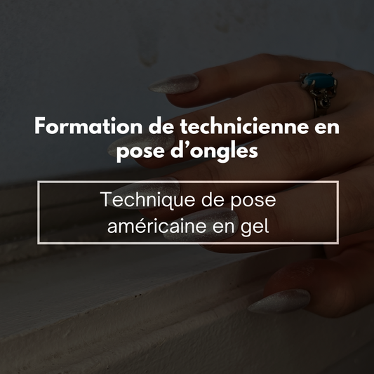 Formation professionnelle de pose américaine en gel avec le Artist Case 